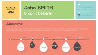Infographic Resume