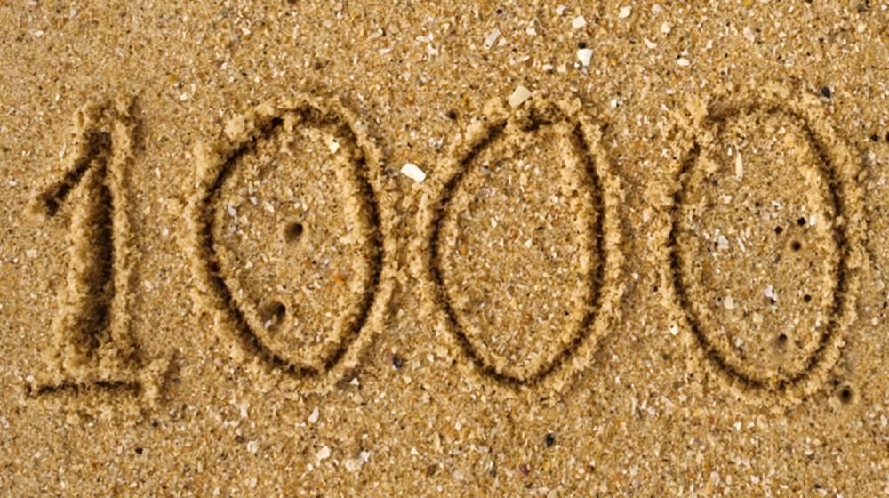 start a business with 1000 dollars