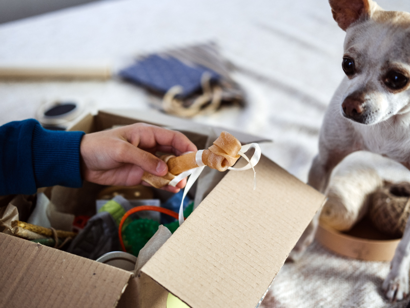 spare room business ideas - subscription box business